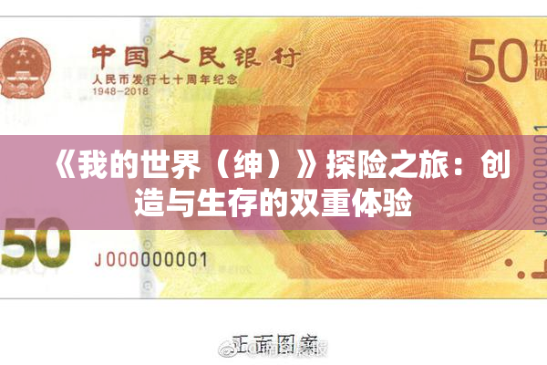 《我的世界（绅）》探险之旅：创造与生存的双重体验
