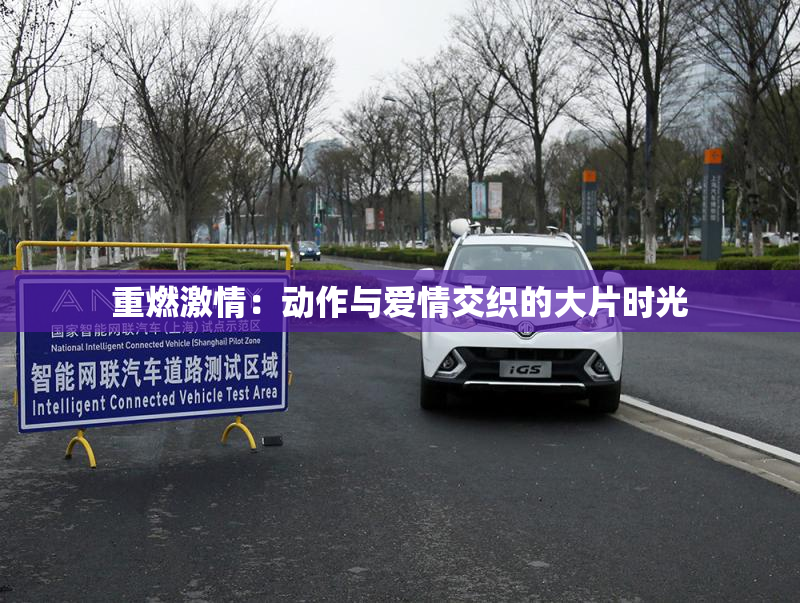 重燃激情：动作与爱情交织的大片时光