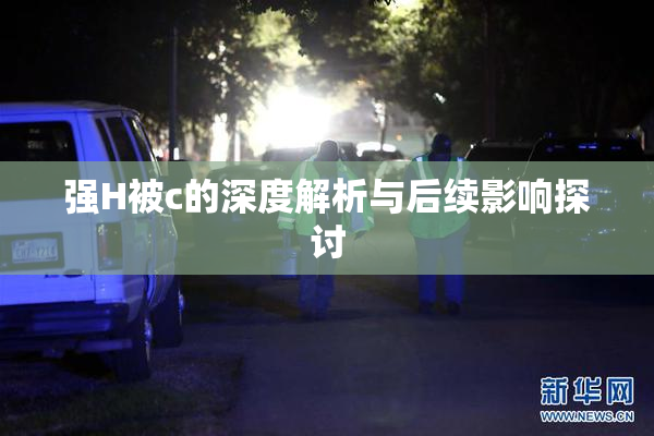 强H被c的深度解析与后续影响探讨