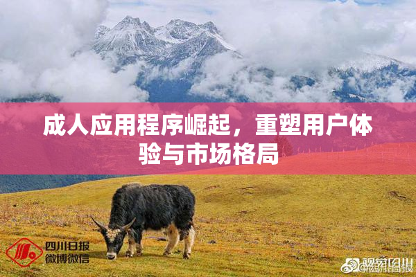成人应用程序崛起，重塑用户体验与市场格局
