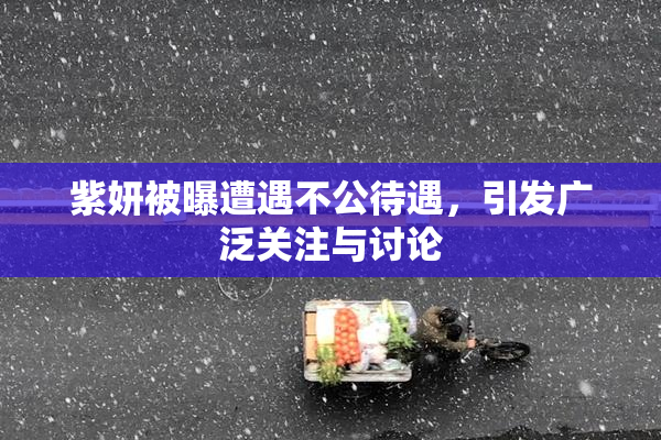 紫妍被曝遭遇不公待遇，引发广泛关注与讨论