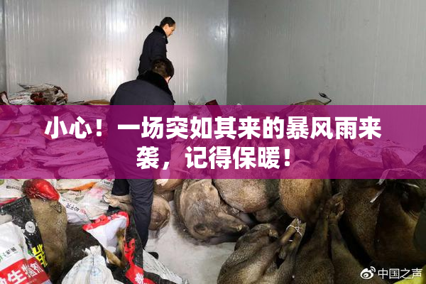 小心！一场突如其来的暴风雨来袭，记得保暖！