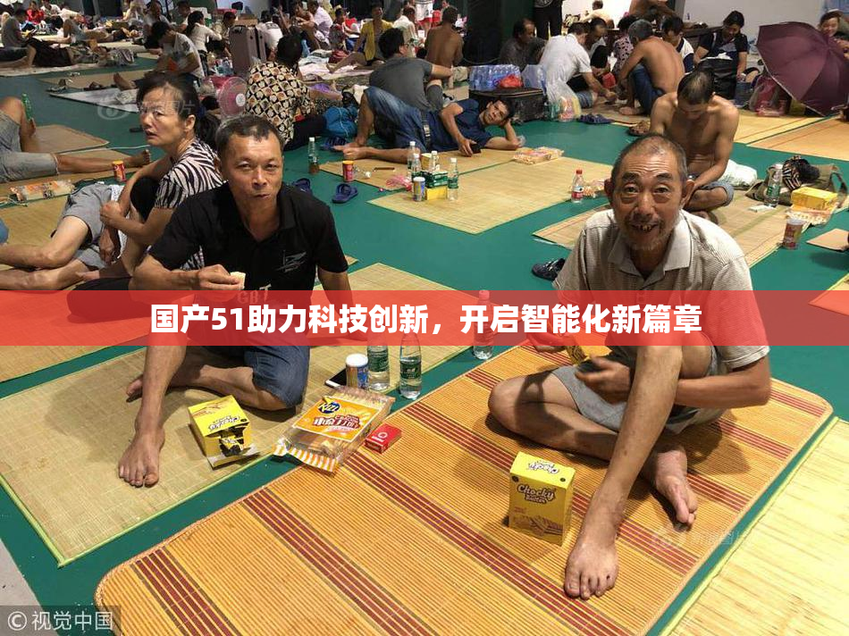 国产51助力科技创新，开启智能化新篇章