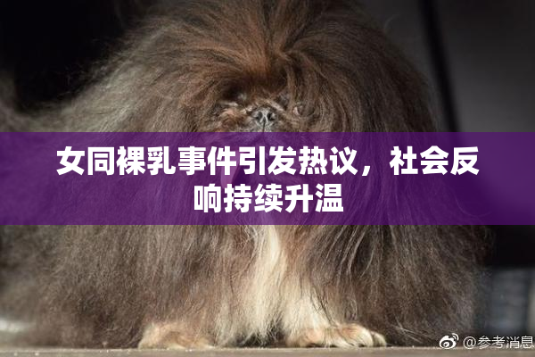 女同裸乳事件引发热议，社会反响持续升温