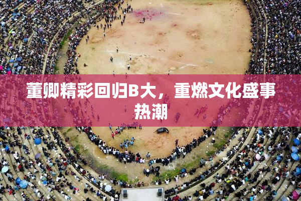 董卿精彩回归B大，重燃文化盛事热潮