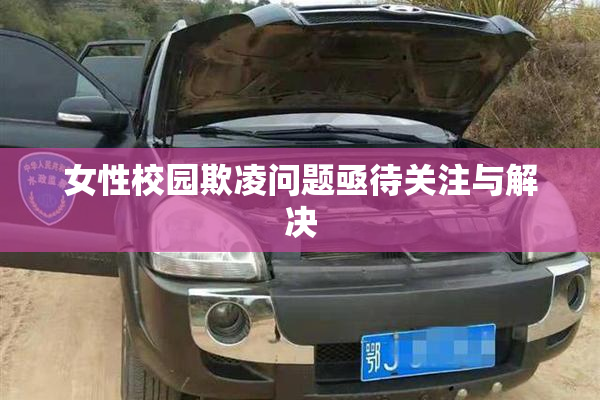 女性校园欺凌问题亟待关注与解决