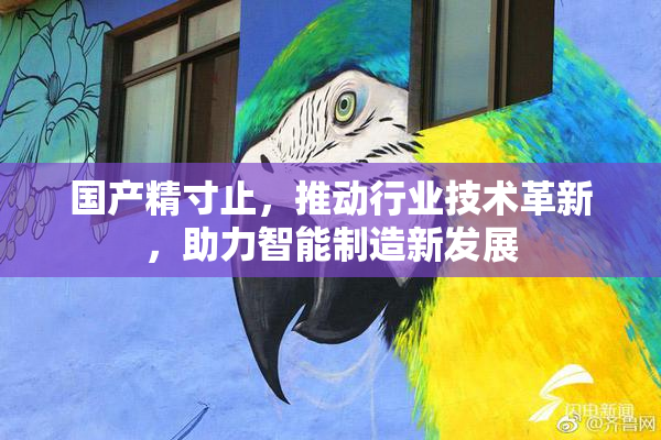 国产精寸止，推动行业技术革新，助力智能制造新发展