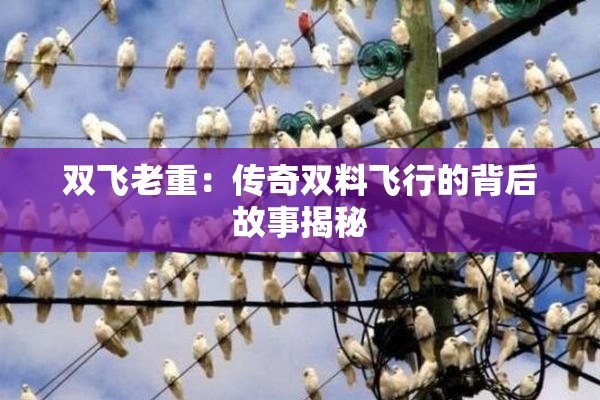 双飞老重：传奇双料飞行的背后故事揭秘
