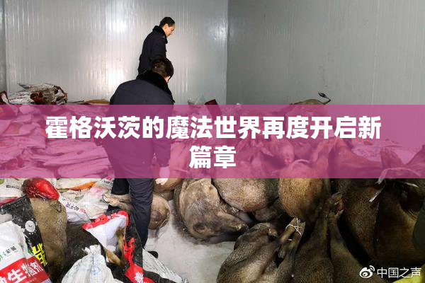霍格沃茨的魔法世界再度开启新篇章