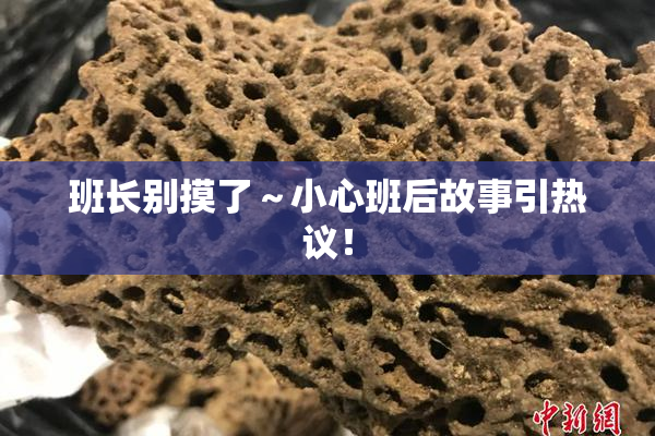 班长别摸了～小心班后故事引热议！
