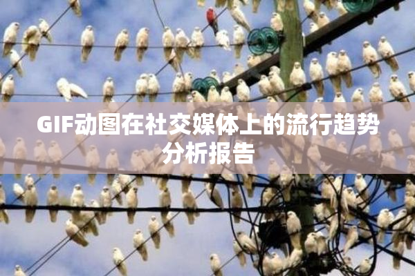 GIF动图在社交媒体上的流行趋势分析报告