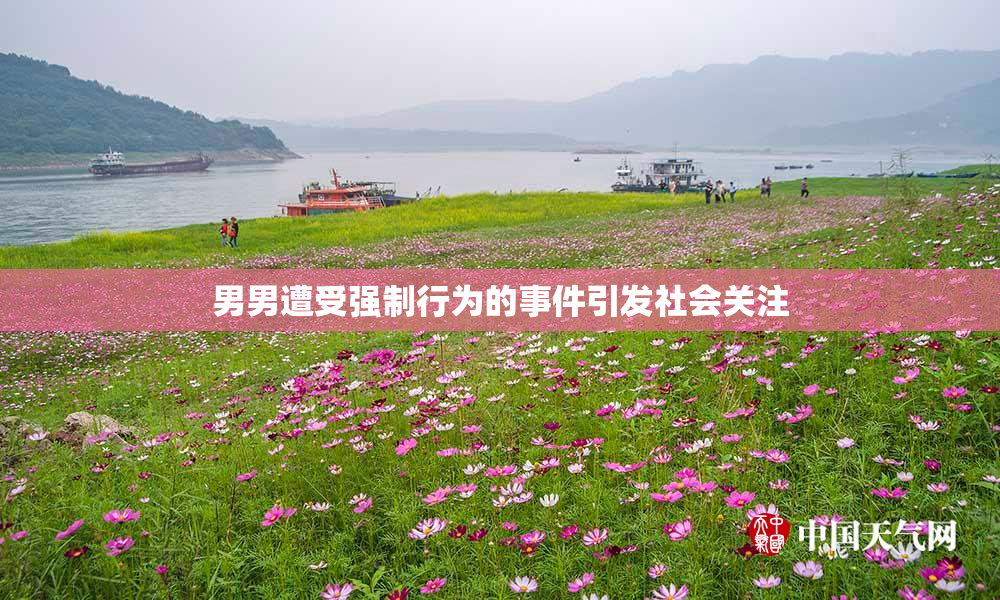 男男遭受强制行为的事件引发社会关注
