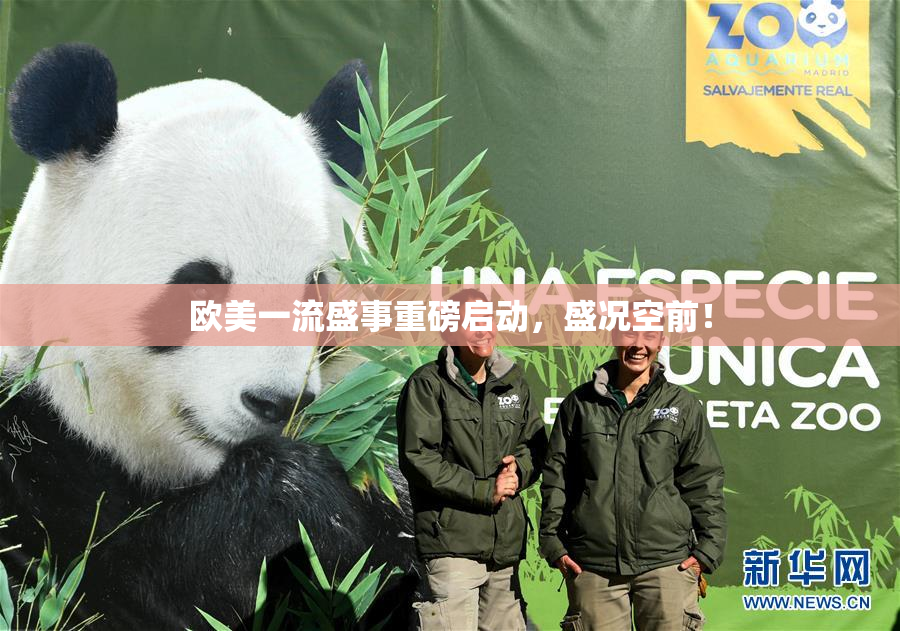 欧美一流盛事重磅启动，盛况空前！
