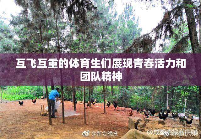 互飞互重的体育生们展现青春活力和团队精神