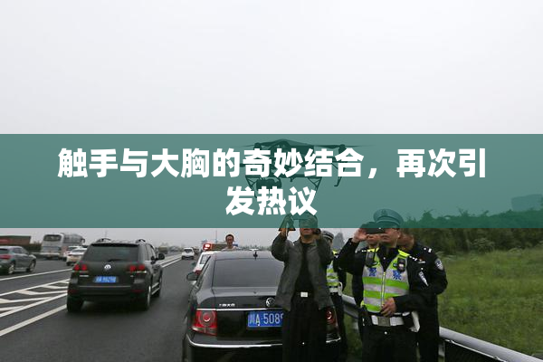 触手与大胸的奇妙结合，再次引发热议