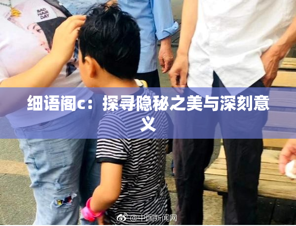 细语阁c：探寻隐秘之美与深刻意义