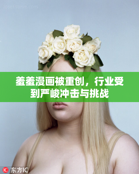 羞羞漫画被重创，行业受到严峻冲击与挑战
