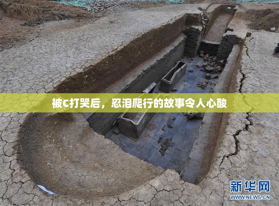 被C打哭后，忍泪爬行的故事令人心酸