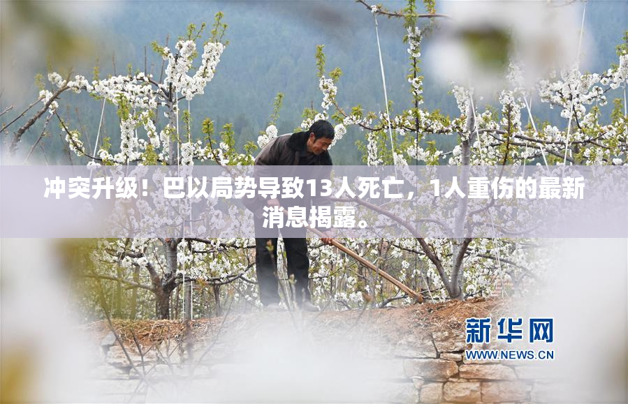 冲突升级！巴以局势导致13人死亡，1人重伤的最新消息揭露。