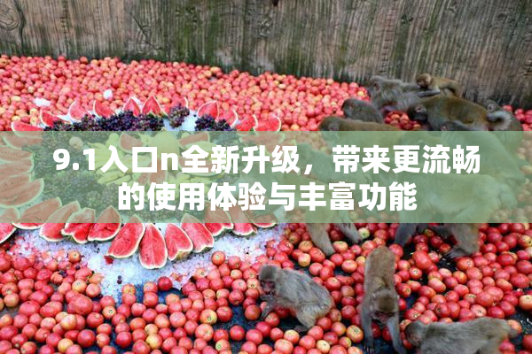 9.1入口n全新升级，带来更流畅的使用体验与丰富功能