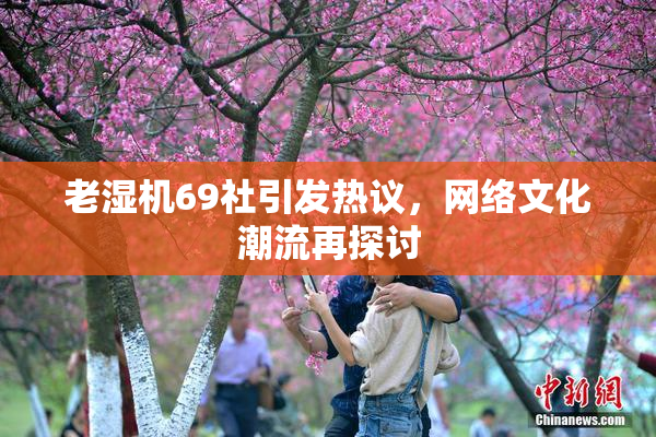 老湿机69社引发热议，网络文化潮流再探讨