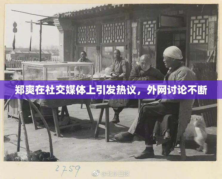 郑爽在社交媒体上引发热议，外网讨论不断