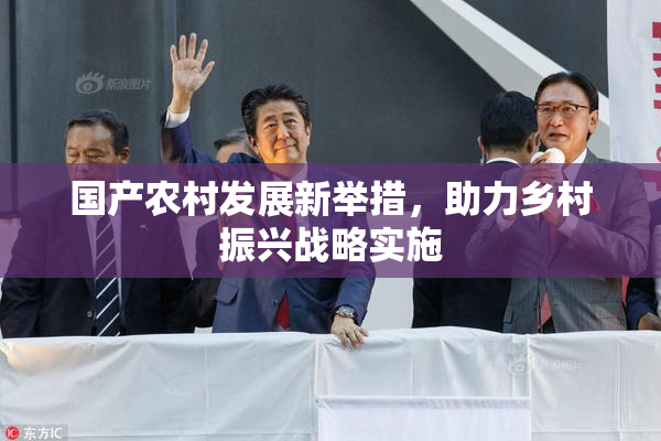国产农村发展新举措，助力乡村振兴战略实施