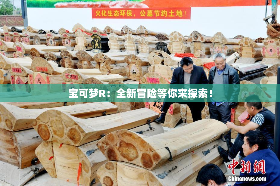 宝可梦R：全新冒险等你来探索！