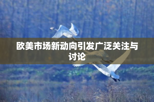 欧美市场新动向引发广泛关注与讨论
