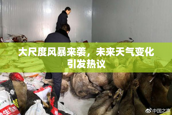 大尺度风暴来袭，未来天气变化引发热议