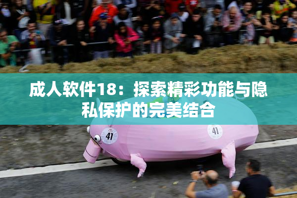 成人软件18：探索精彩功能与隐私保护的完美结合