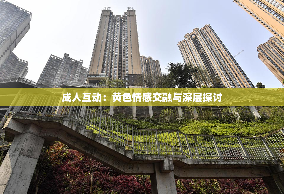成人互动：黄色情感交融与深层探讨