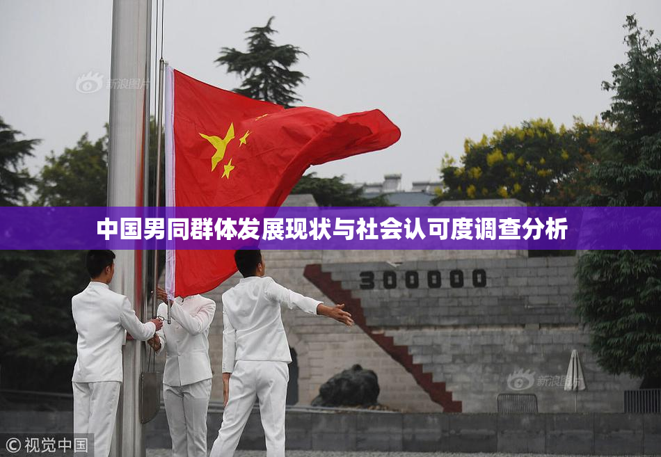中国男同群体发展现状与社会认可度调查分析