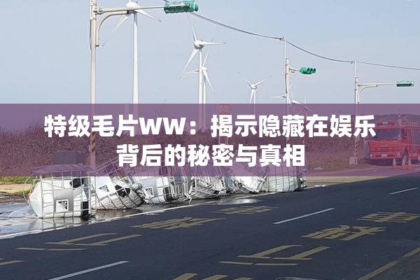特级毛片WW：揭示隐藏在娱乐背后的秘密与真相
