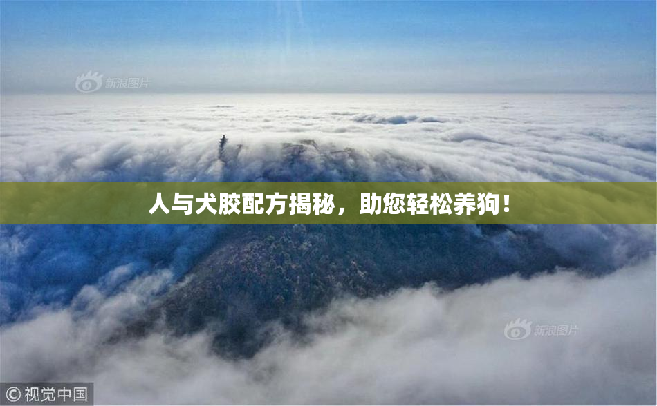 人与犬胶配方揭秘，助您轻松养狗！