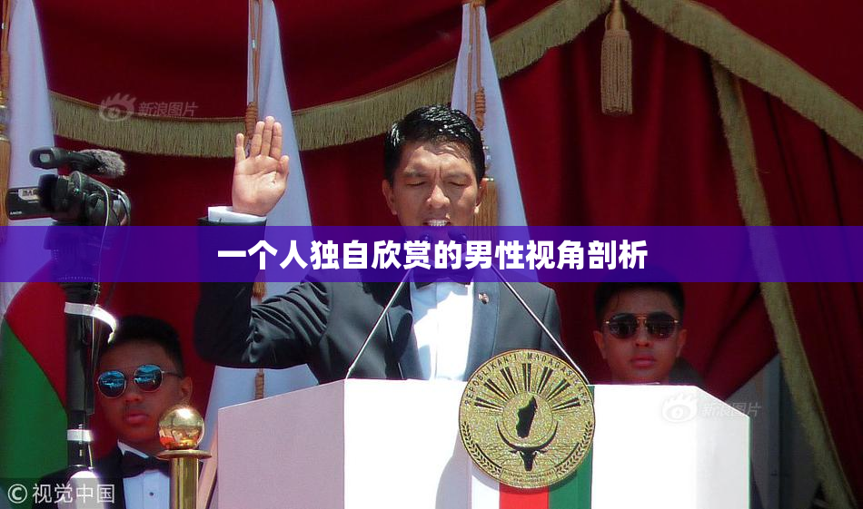一个人独自欣赏的男性视角剖析