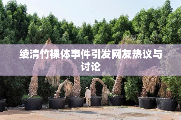 绫清竹裸体事件引发网友热议与讨论