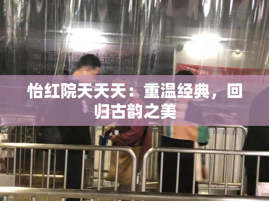 怡红院天天天：重温经典，回归古韵之美