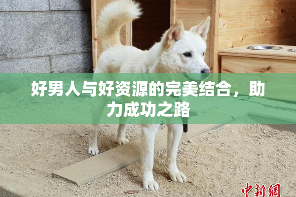 好男人与好资源的完美结合，助力成功之路