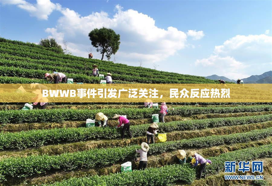 BWWB事件引发广泛关注，民众反应热烈