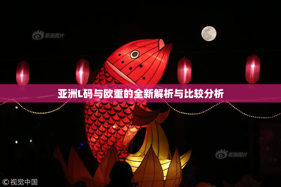 亚洲L码与欧重的全新解析与比较分析