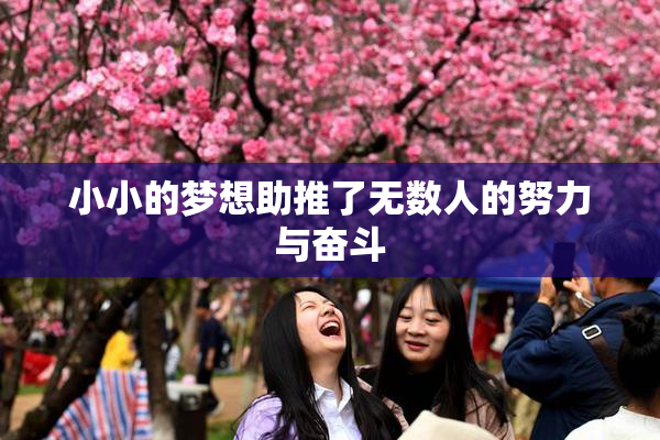 小小的梦想助推了无数人的努力与奋斗