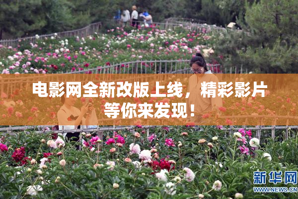 电影网全新改版上线，精彩影片等你来发现！