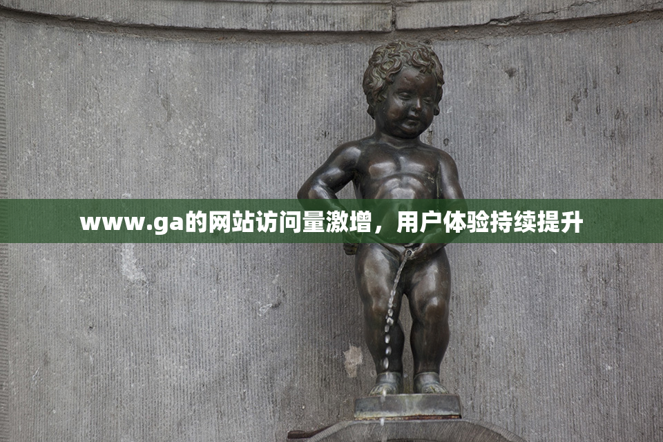 www.ga的网站访问量激增，用户体验持续提升