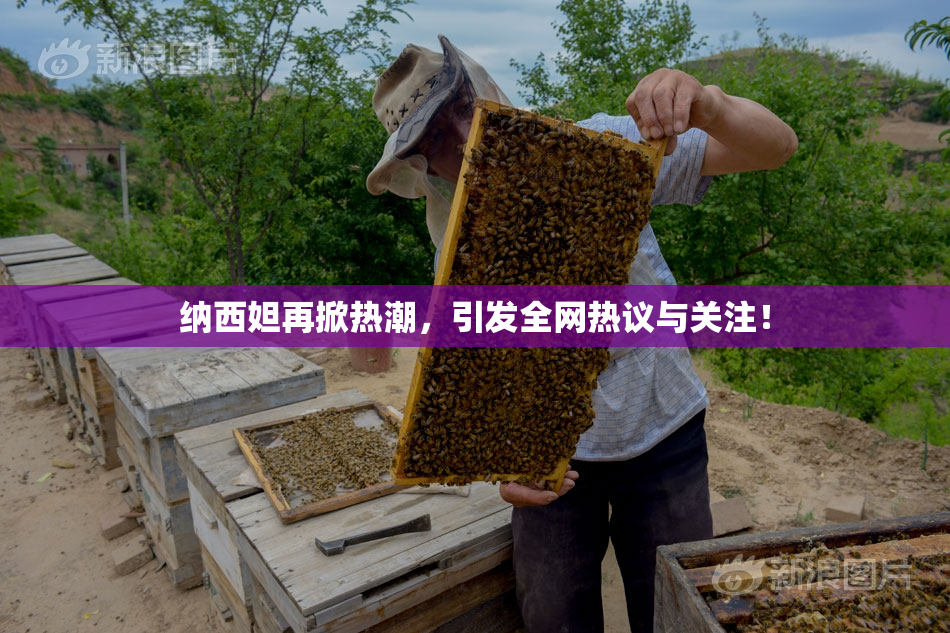 纳西妲再掀热潮，引发全网热议与关注！