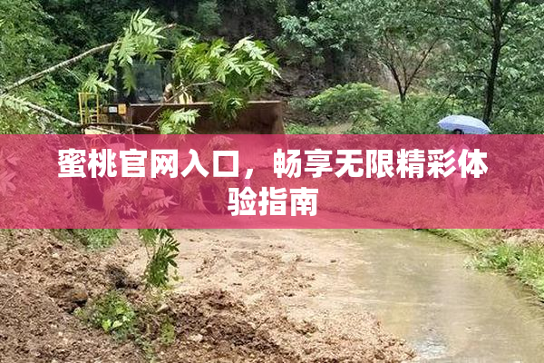 蜜桃官网入口，畅享无限精彩体验指南