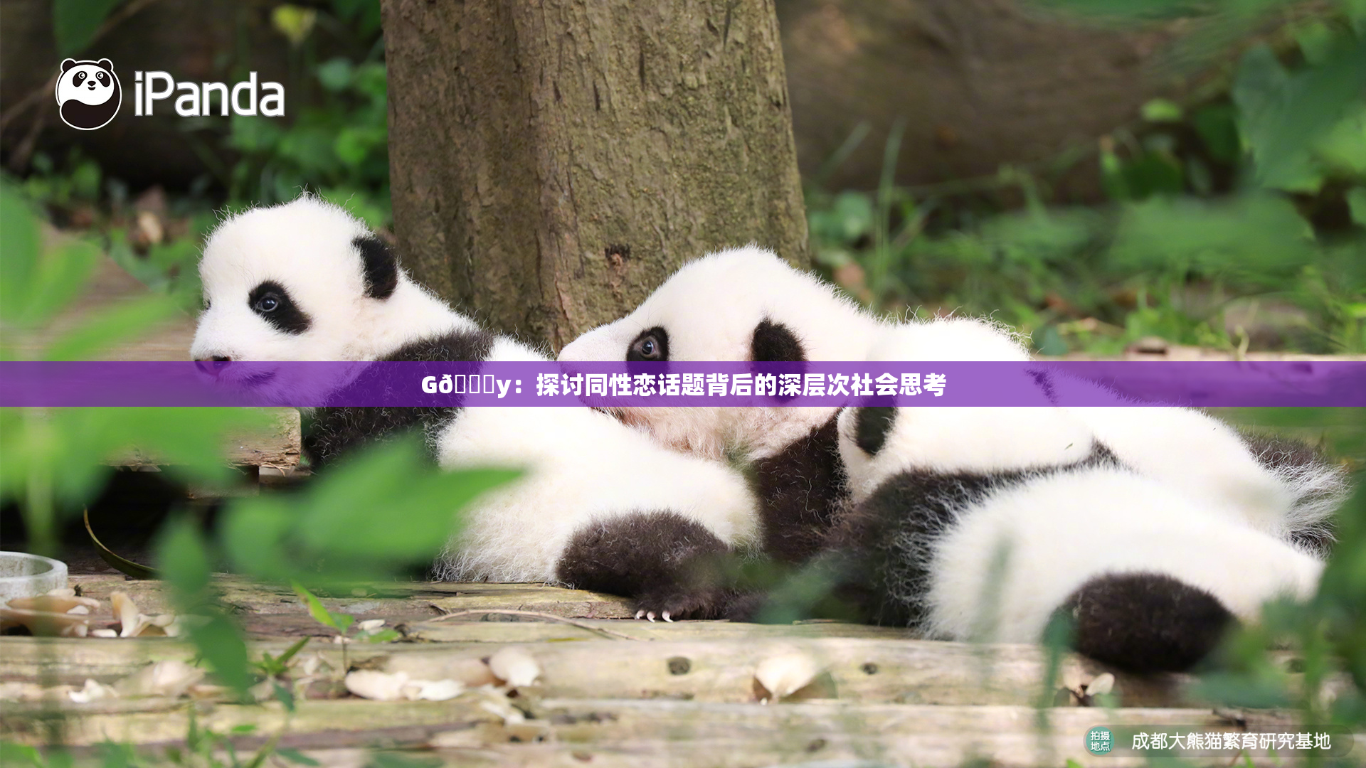 G🈚y：探讨同性恋话题背后的深层次社会思考