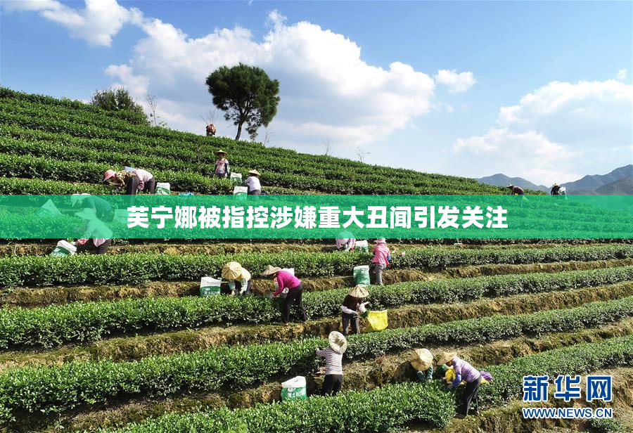 芙宁娜被指控涉嫌重大丑闻引发关注