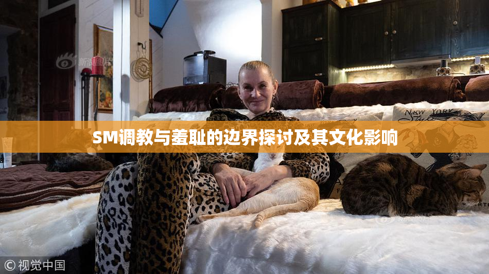 SM调教与羞耻的边界探讨及其文化影响