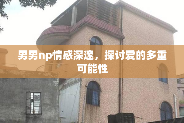 男男np情感深邃，探讨爱的多重可能性